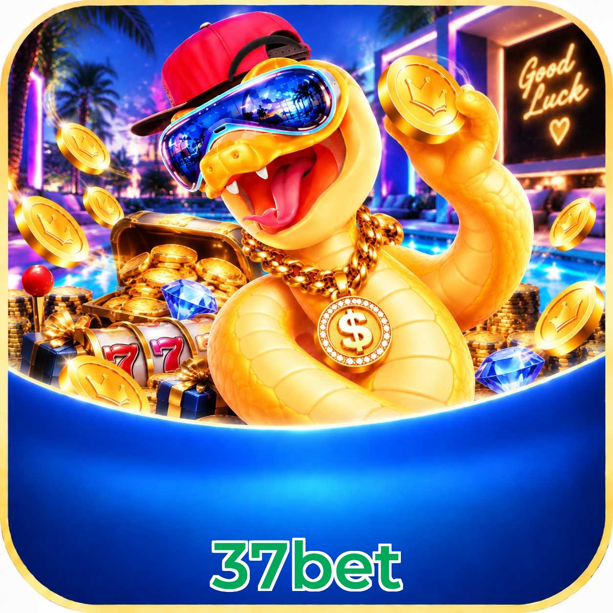37bet Live Dealers